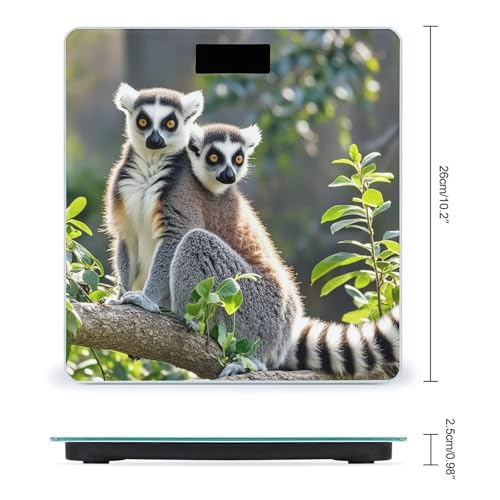 Báscula Digital de Vidrio Templado Ringtailed Lemur miniatura 2