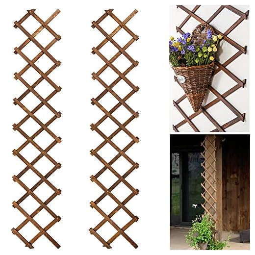 21+ Creative Balcony Privacy Ideas You’ll Love 6 2Pack Expandable Wooden Lattice Wall,Plant Garden Trellis for Climbing Plants Outdoor, Plant Vertical Rack Wall Decor Indoor