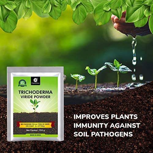 Image of OrganicDews Trichoderma Viride Powder 250 g (2 x 10⁸ CFU per Gram) Bio Fungicide For Plants Controls Root /Stem Rot