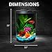 Koller Products 3-Gallon 360 Aquarium with LED Lighting (7 Color Choices) and Power Filter, Ideal for a Variety of Tropical Fish,Crystal-Clear Clarity,AP360A-3FFP