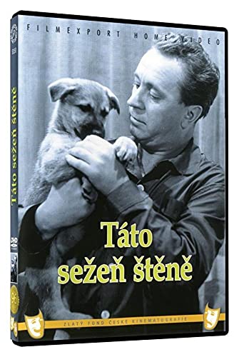 Tato, sezen stene!
