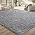 Soft Modern Indoor Large Shaggy Rug for Livingroom Bedroom Dorm Kids Room Home Decorative, Non-Slip Plush Fluffy Furry Fur Area Rugs Comfy Nursery Accent Floor Carpet 6x9 Feet, Grey