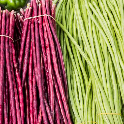 50 pz semi di fagioli metro rialzata antiche varietà da balcone in invernali