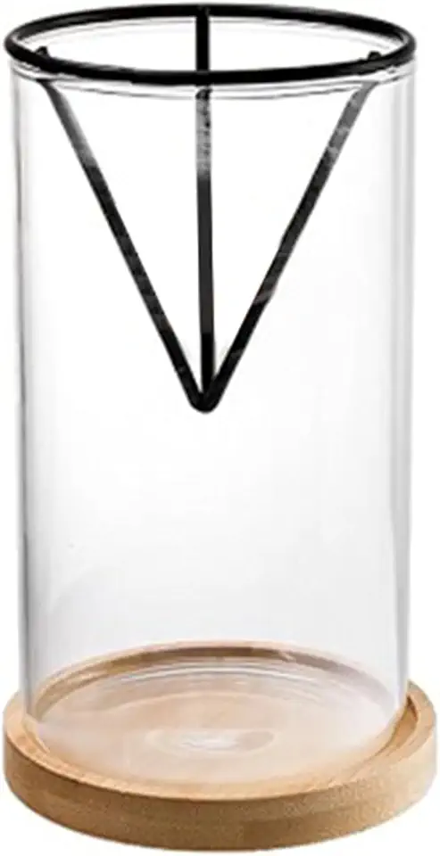 Avokadoträd odlingskit glasvas träbas