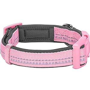 Blueberry Pet Soft & Safe 3M Reflective Neoprene Padded Adjustable Dog Collar - Baby Pink Pastel Color, Small, Neck 12"-16" Blueberry Pet Soft & Safe 3M Reflective Neoprene Padded Adjustable Dog Collar – Baby Pink Pastel Color, Small, Neck 12″-16″