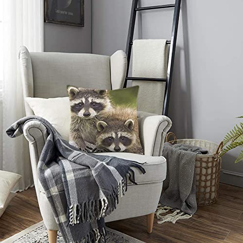 Fjpt Throw Pillow Cover Pretty Raccoon Gift Best Birthday Gift Art Design Pillow Patternes Cotton Pillowslip For Sofa Bed Stand Size Pillowcase 18X18 Inch #TOP1