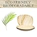 Upper Midland Products 6 Palm Leaf Disposable Platters, Biodegradable Eco Friendly Bamboo Wood Like Oval Serving Trays 15 x 10 Inches Paper and Plastic Alternative