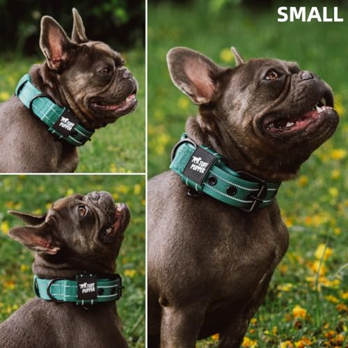 Image of Tuff Pupper Heavy Duty Tactical Dog Collar | 1.25 inch Wide Ballistic Nylon | Reflective Stitching | Integrated ID Tag Holder | Stainless Steel Buckle | Padded Lining | Small & Medium Dogs (Green, Small)