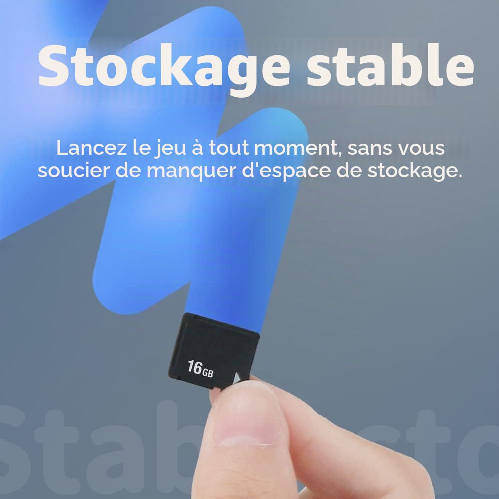 OSTENT Carte Mémoire 16 GB pour Console Sony PS Vita PSV 1000/2000 PCH-1000/PCH-2000 Console PCH-Z161