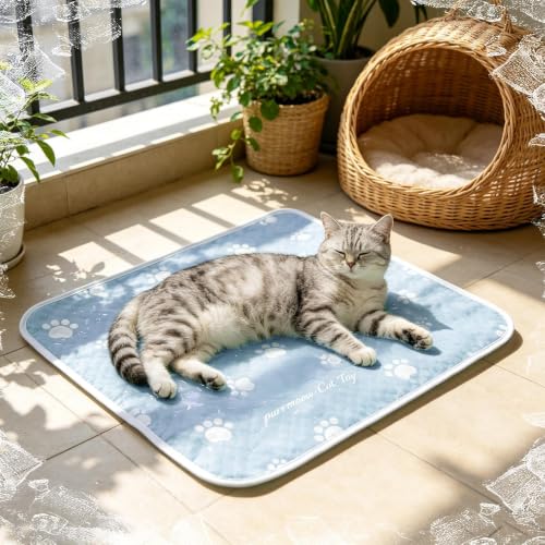 Alfombrilla refrescante lavable para perrera exterior y colchoneta de perros 4