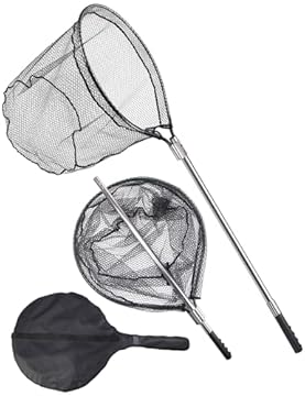 saltwater net fishing