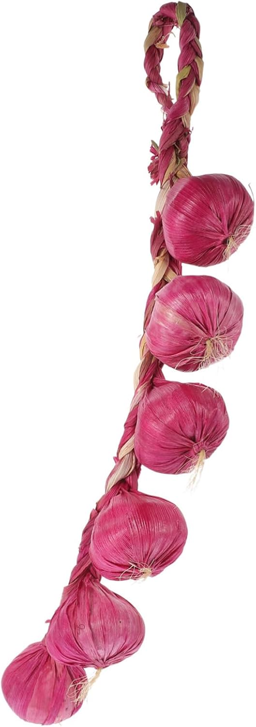 Home Decor 1 String Artificial Garlic Simulation Garlic Decorative Garlic Braids Realistic Vegetable Chinese New Year Ornaments Veggies Purple Corn Sk, 43.00X6.00X6.00CM