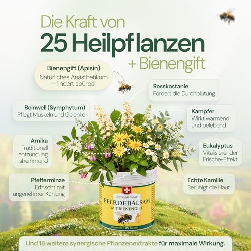 SwissMedicus Pferdebalsam mit Bienengift, 150-ml-Tiegel, 25-Kräuter-Formel – Ansicht 4