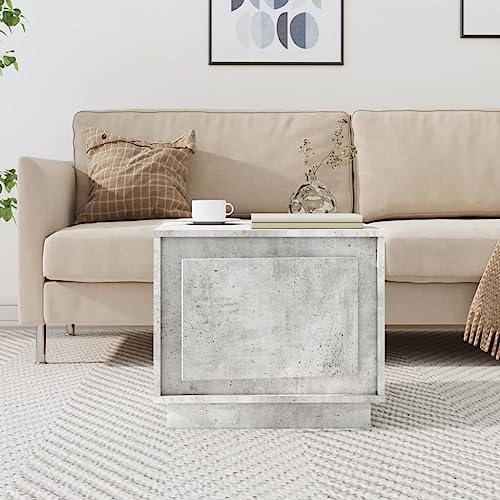 Table basse gris béton en bois avec porte et niche de rangement compacte