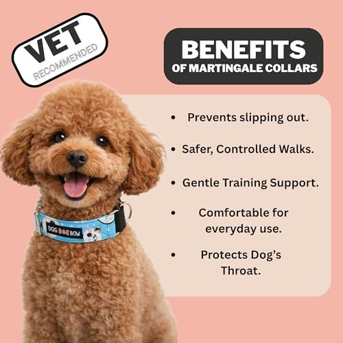 Image of Dog-O-Bow Panda Print Martingale Dog Collar, Durable, Comfortable & Adjustable Training Collar (M)