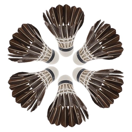 Hemoton Portable Badminton Training Supplies 6pcs Foam Head Shuttlecocks for Fitness Sports