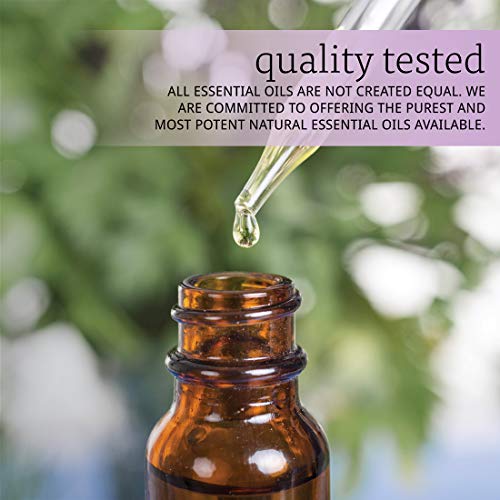 Aceite de Alcanfor NOW, 1 onza, pack de 2 miniatura 6