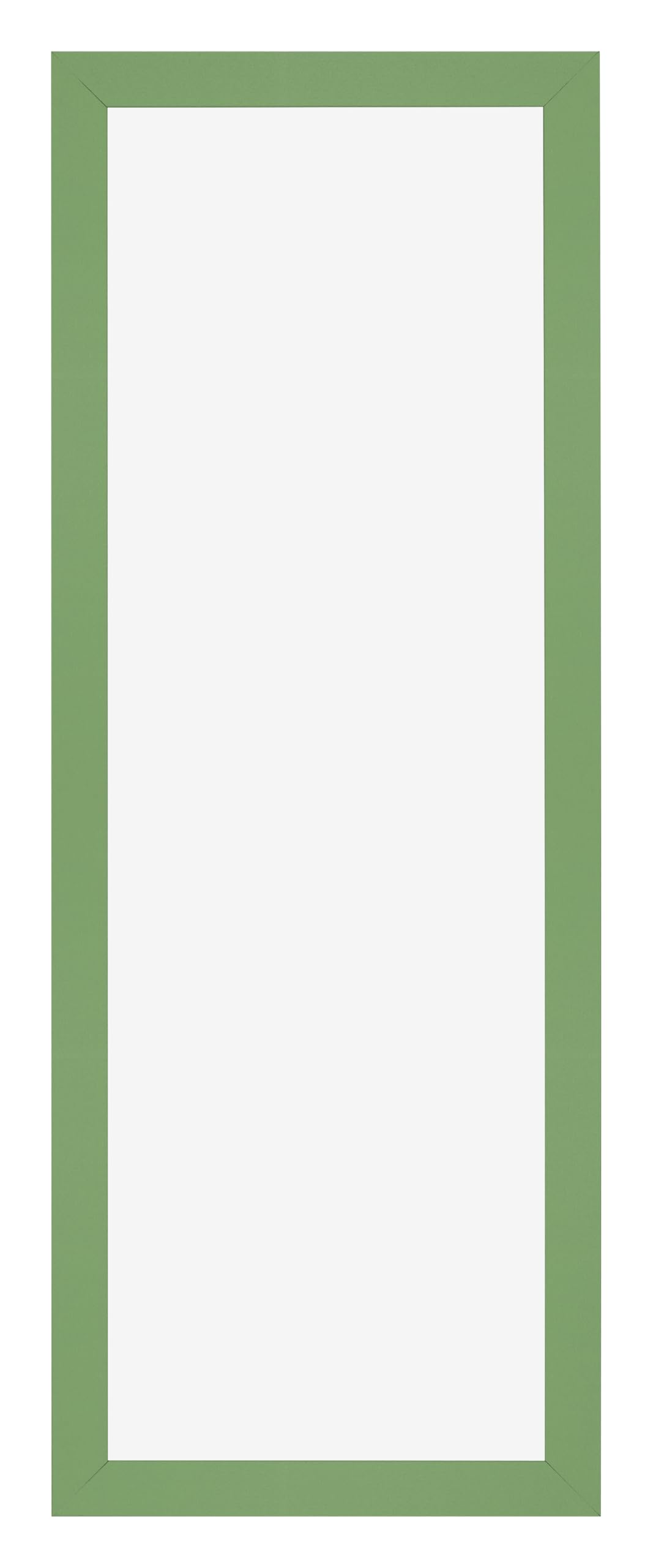 Dutch Frame Factory - Picture frame 20x60 cm - Green - MDF Picture frame with Antireflex Acrylic glass - Photo frame 20x60 cm - Benno