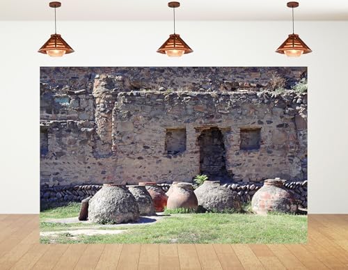 5x3ft Ancient Ruin Backdrop Stone Wall Clay Jar View Photography