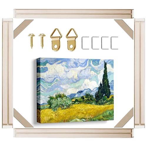 VYPEROCK Barres étireurs toile 24x36 po, kit 25+ formats