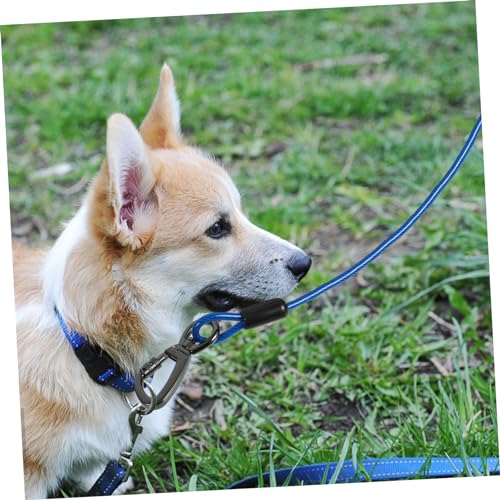 Laisse de promenade pour chien ajustable pour éviter les tractions