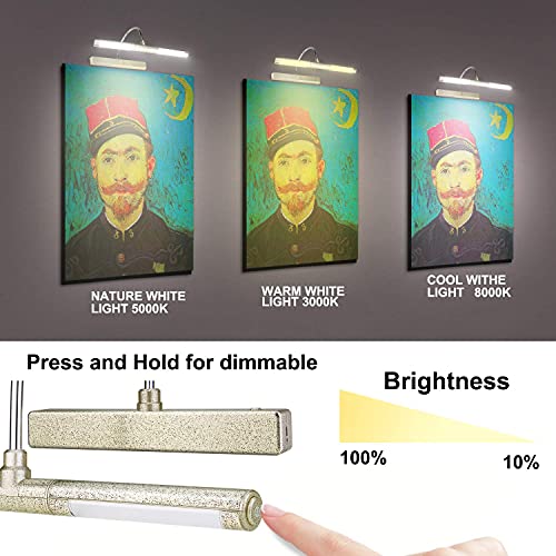 Luxsway Picture Lights For Paintings,Art Light,Dimmable And Timer Off Display Light For Portrait,Dart Board,Gallery,Portrait #TOP1