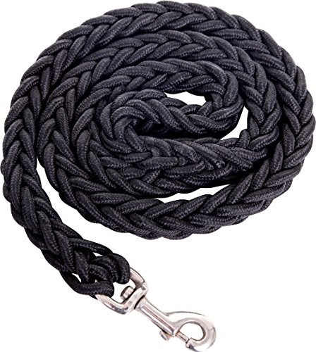 Extrem Starke Hundeleine für große Hunde 2 cm dick 120 cm lang sehr belastbar mit Karabiner, aus Nylon, geflochten robust und wetterfest (schwarz)