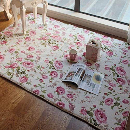Fadfay - Tapis rose romantique de style américain - Motifs : Floral avec des roses - Design décoratif, chic et moderne - Pour le salon, Polyester, rose, Size:100*150cm Cover