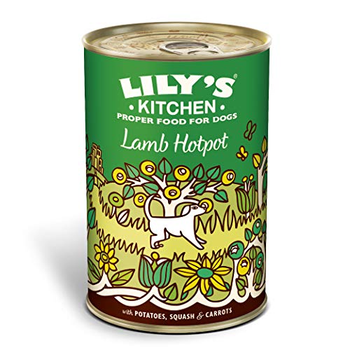 Lily's Kitchen Adult Lamb Hotpot Wet Dog Food (6 x 400g)