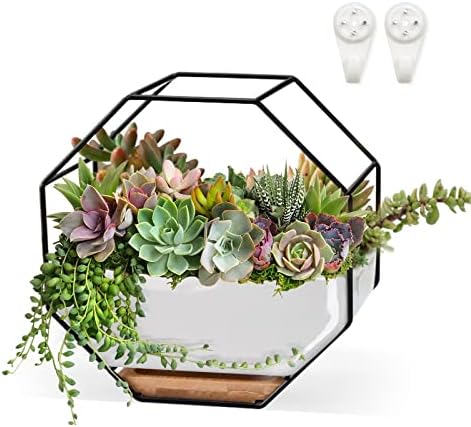 ChiRee Succulent Planters 7×3.5 Inch Decorative Ceramic Flower Plant Pots with Metal Holder Hanging and Place Dual-Purpose Garden Planter Pot with Drainage and Saucer for Indoor Home Office Desktop