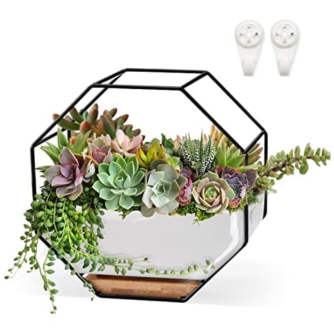ChiRee Succulent Planters 7×3.5 Inch Decorative Ceramic Flower Plant Pots with Metal Holder Hanging and Place Dual-Purpose Garden Planter Pot with Drainage and Saucer for Indoor Home Office Desktop Cover