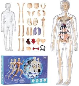 Amazon.co.jp: 生物・動物・人体 - 科学・サイエンス: おもちゃ