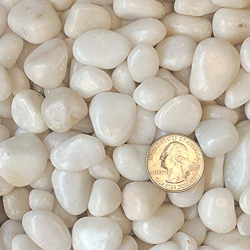 Opiniones y reviews de Piedras blancas para decorar - los mas comprados. 20 Opiniones y reviews de Piedras blancas para decorar - los mas comprados. 20