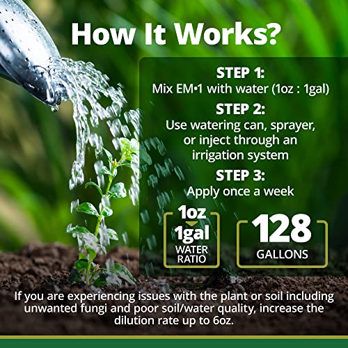 Teraganix EM-1-1GAL Em-1 Plant Growth, Microbial Inoculant Concentrate (1 Btl = 128 Gal), Soil Conditioner, Root Enhancer, Liquid Probiotic For Soils & Plants, Seed Germination, Garden thumb #2