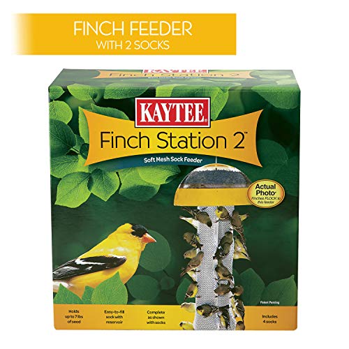 Best Bird Feeder Finches