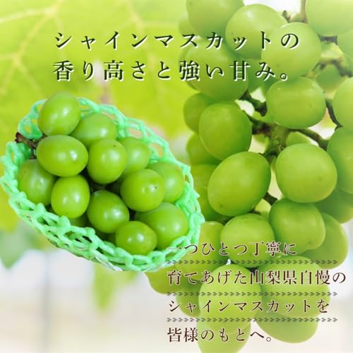 ノーブランド品 シャインマスカット 2房 1kg の商品画像 4