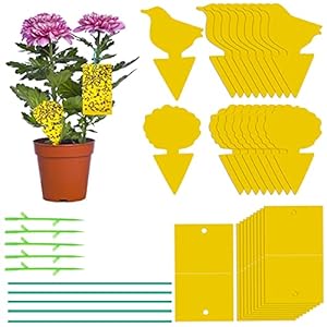 40er-Pack Insekten-Mücken-Fallen, Fliegenfallen, Klebrige Fliegenfallen, Selbstklebende Fallen für Garten, Obstbäume, Pflanzen (Gelb-1)