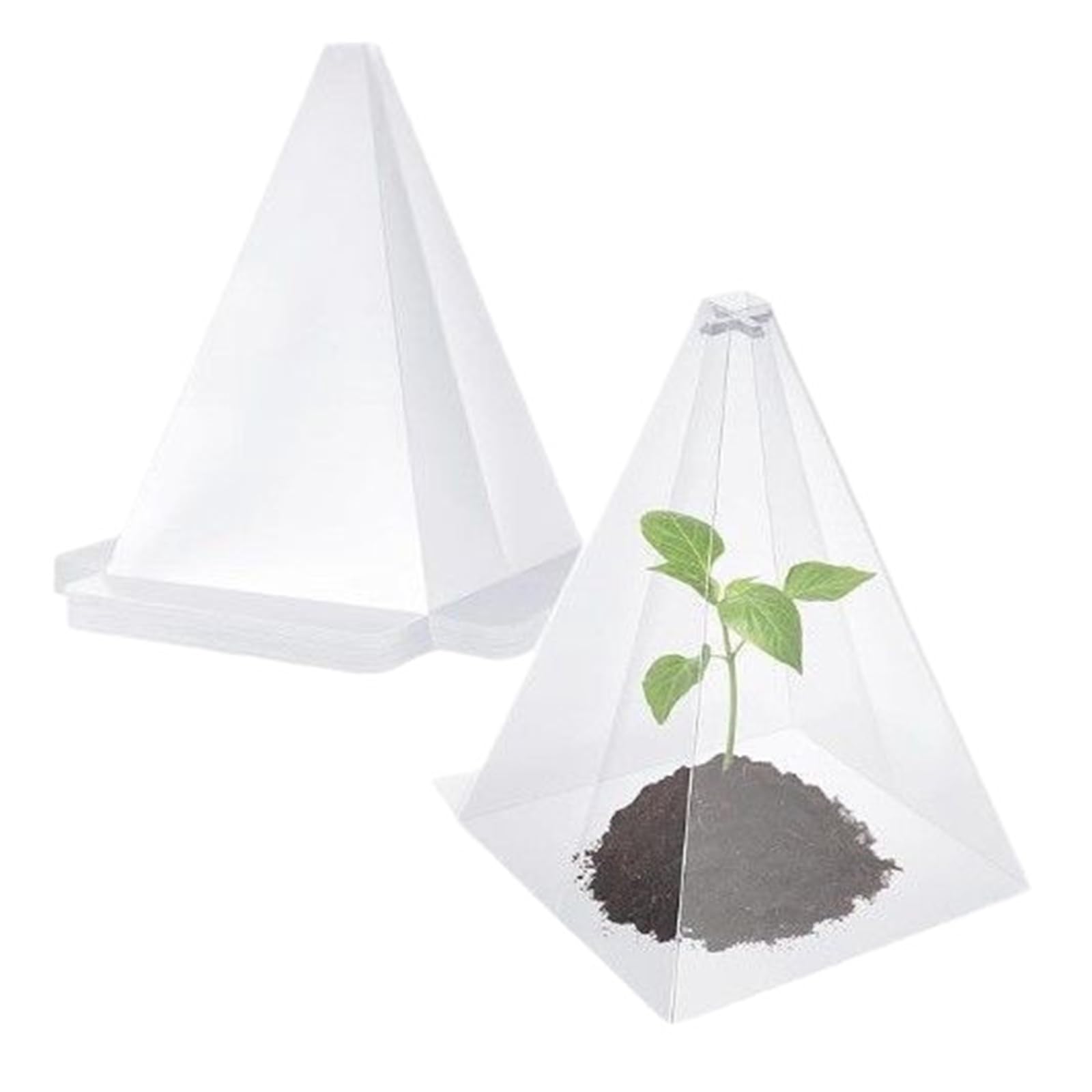 Greabuy Transparents - Protectores de plantas para plántulas, heladas solares, caracoles, pájaros, protección de invernaderos, cubiertas de invernadero, aumento del crecimiento, cubiertas de plantas