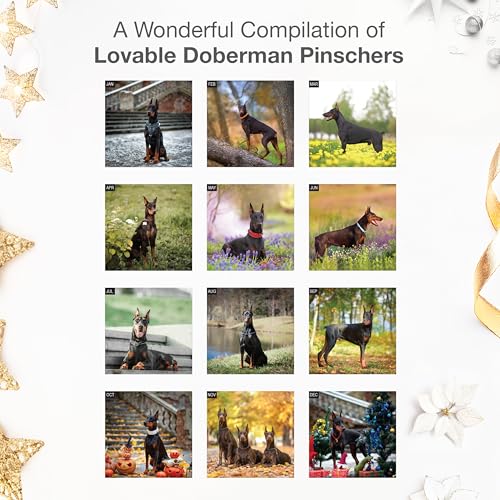 Image of RED EMBER Doberman Pinschers 2026 Wall Calendar 12 Month | 12 inch x 24 inch Open | Thick & Sturdy Paper | Giftable | Cute Puppy Dog Calendar 2026