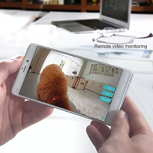 gempet automatic pet feeder