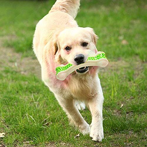 BLACK DOG chew Toys for Bone, Puppies and Small Adult Dogs (Medium) (B08HMWC83F) Amazon Price History, Amazon Price Tracker