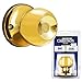 Constructor CON-CHR-PB-DM Chronos Dummy Door Knob, Polished Brass