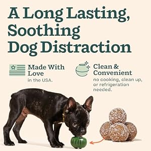 WOOF Pupsicle Refill Pops for Calming - Calming Dog Treats - Long-Lasting Refills for The Pupsicle Toy to Promote Calm - Magnesium for Dogs- Large Pops - 7 Count WOOF Pupsicle Refill Pops for Calming Calming Dog Treats Long Lasting Refills for The Pupsicle Toy to Promote Calm Magnesium for Dogs Large Pops 7 Count
