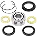 All Balls Racing Rear Shock Bearing Kit 29-1006 Compatible with/Replacement for Honda CR125R 1987-1993, CR250R 1991-1994, CR500R 1991-1993
