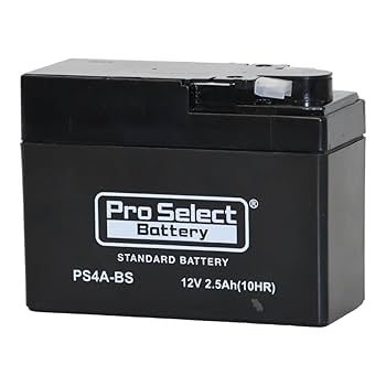 Amazon | ProSelect(プロセレクト) バイク PS4A-BS スタンダード