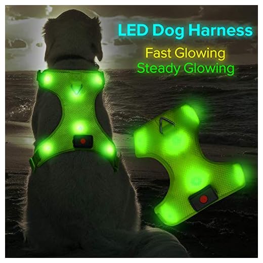 Higo LED Dog Harness, USB Rechargeable Soft Mesh Harness No Pull Lighted Safety Collar, Increased Visibility&Safety for Small Medium Large Dog (L, Green)