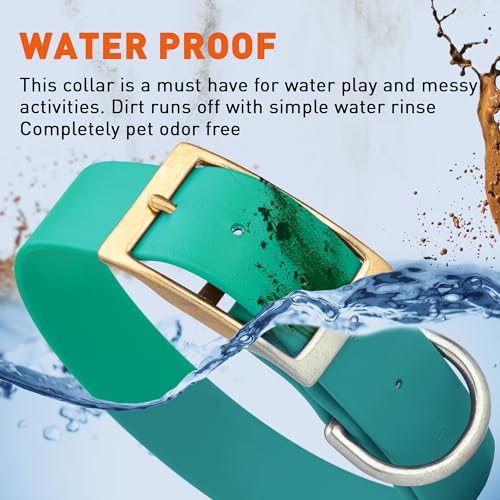Image of Viper Biothane Heavy Duty Waterproof Dog Collar Strong Coated Nylon Webbing w /Solid Brass Hardware Odor-Proof Easy to Clean High Performance Fits Small Medium or Large Dogs, Teal