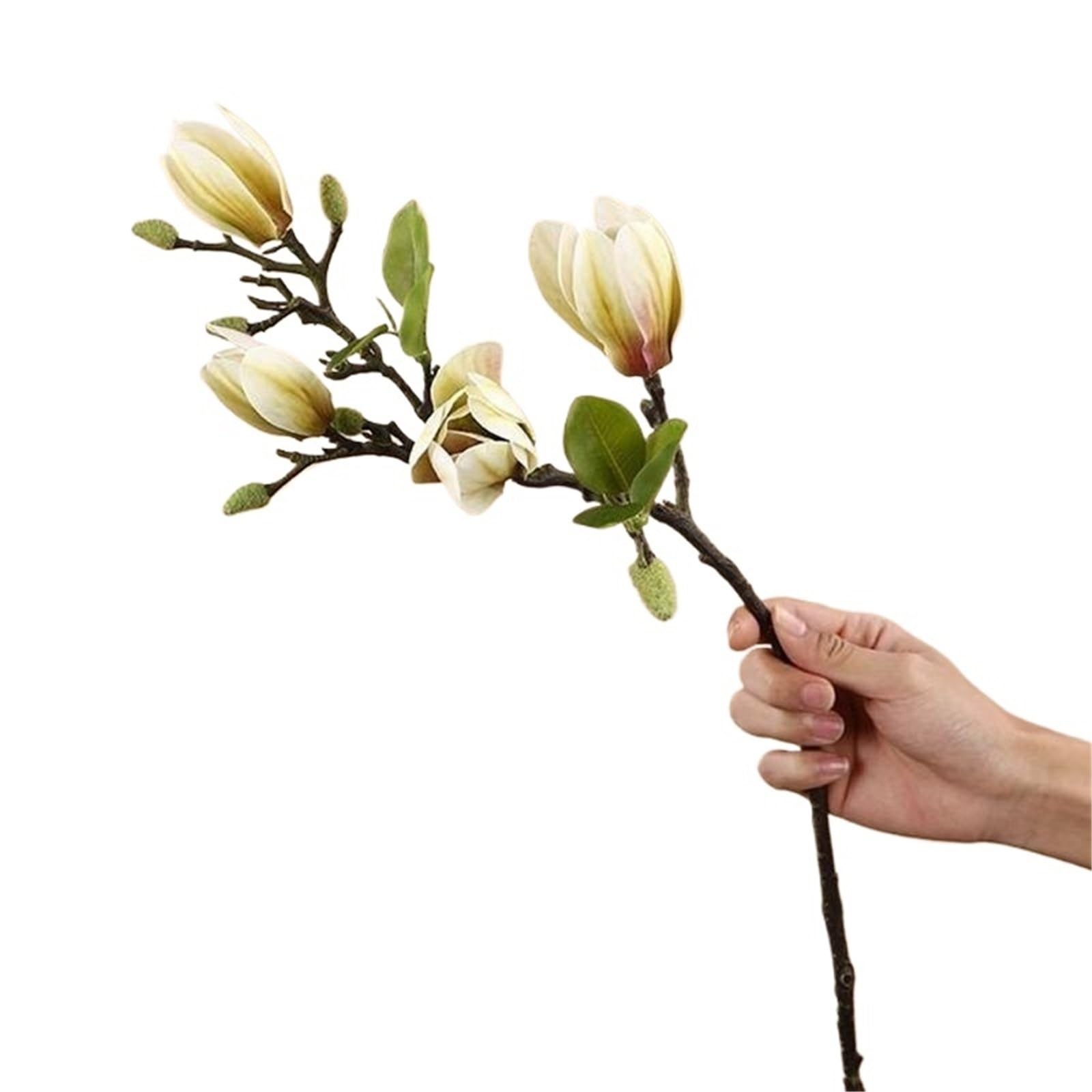 LuoAXINN Artificial Flower Branches 5 Pcs Single Branch Artificial Silk Magnolia Flowers For Home Vase(Color2)