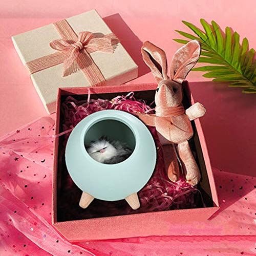 Preisvergleich Produktbild Katze Nachtlicht, kleines Haustierzimmer USB wiederaufladbare Kinderatmosphäre Licht, schön verpackt - Geburtstagsgeschenk, geeignet für Kinder / Jungen / Mädchen süße Schlafzimmerbeleuchtung