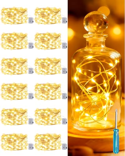 NWPUSZ Guirlande Lumineuse LED à Pile, 3 Modes 2M 20LED Mini Guirlande Fil Argent, Blanc Chaud, Décoration Intérieur Extérieur pour Pots, Bouteilles,...